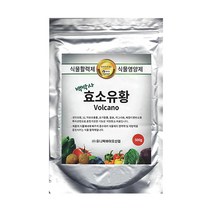 백박사 효소유황 500g 흰가루병 잿빛곰팡이 잎곰팡이 노균 친환경 미량원소 비료, 1개