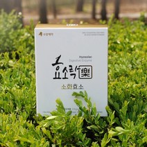 효소락 소화 효소제 30포 편한하루활성효소 소화안될 때 음식