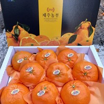 [식품의전당] 프리미엄 제주 천혜향 레드향 한라봉 선물세트 귤 3kg 5kg 5키로 10kg 10키로 고당도 선물용 특 대과 셋트 가정용 과일 선물 세트, 4_한라봉 3kg 선물포장