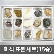 화석 표본 세트(15종)R-만들기키트