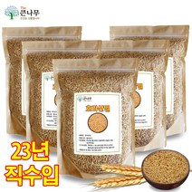 The큰나무 터키산 호라산밀 5kg(1kgx5팩) 착한 탄수화물 호라산 밀
