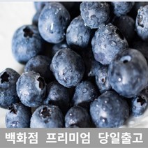 [특등급선별] 블루베리 400g 과일 제철과일 크랜베리 블루베리효능 냉동블루베리 블루베리잼 건크랜베리 블루베리스무디 블루베리주스 블루베리콩포트 생블루베리 블루베리즙