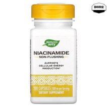 네이처스웨이 비타민B3 나이아신 니아신 Niacin 500mg 100캡슐