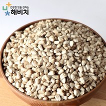 [해비치] 국산 생홍화씨 500g, 단품, 1개