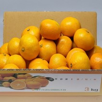 귤림원 감귤 제주 프리미엄 타이벡 고당도 선별 11Brix 이상, 로얄과(2S/S/M) 4.5kg