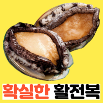 [1000일간 키운 확실한 전복] 완도 활 전복 택배 1kg, 5. 대 전복 1kg (10-11미)