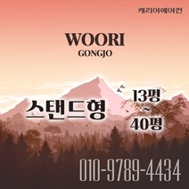캐리어 스탠드 에어컨 매장용 인버터 시스템 에어컨 40평 냉난방기 (DMQE401LAWWSX), CPV-Q1458CDX