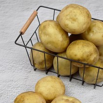 기찬꾸러미농산물 국내산 햇 감자 상(구이용) 1kg 3kg 5kg 10kg