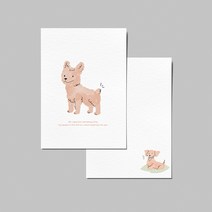 orange dog postcard
