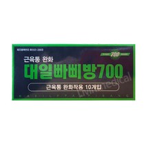 대일 빠삐방 700 근육통 완화 자기파스 의료용 자기발생기 10개입