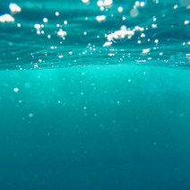 [캔들이케아] 국내산 프래그런스 100ml 오일 108종, 29_네롤리 포르토피노