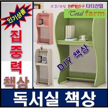 독서실책상/ DIY책상/칸막이책상/집중력책상/열공책상, 그린, 2.우등생입식책상