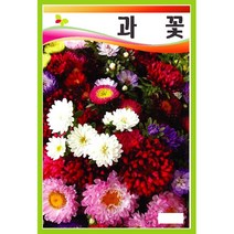 야생화씨앗 씨앗] 과꽃 혼합 2g