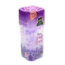사춘기 아들 남자 냄새제거 향기 탈취제 음식냄세 현관 거실 화장실 안방