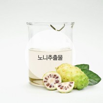 노니추출물-노화관리 주름케어 주름관리 환절기피부관리, 1L