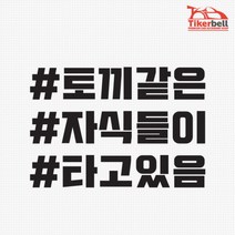 차량스티커 토끼같은 자식들이 타고있음 첫차선물 레이꾸미기 레이실내 데칼시트 데칼, 1개, 오렌지