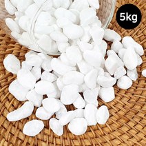 백자갈 5kg 화분 조경 어항 바닥재 장식돌, 사이즈:-1호[2~4mm]