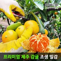 이츠올릿 제주 고당도 하우스 감귤 못난이 소중과 2kg 제주도 조생귤 노지 귤 타이백 밀감