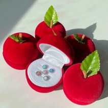 피어싱 뱃지 보관함 귀걸이 꽂이 미니 귀고리함 사과 케이스