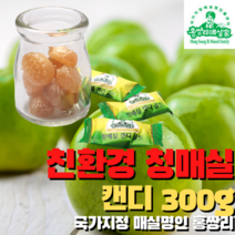 매실명인 홍쌍리 청매실 농축액 골라담기 설 추석 명절선물 고추장장아찌 매실환 청매단 캔디 사탕 젤리 매실엑기스 매실농축액 매실효능 매실액 매실원액 매실청 가족건강식, 청매실 캔디 300g