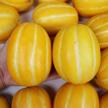 성주참외 못난이참외 가정용참외 꿀 참외 4kg, 푸 가정용 성주참외 중 4kg 15-19과, 1개