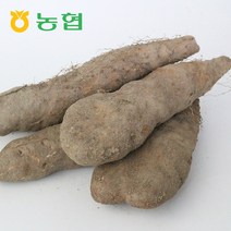 농협국산더덕 관련 상품 TOP 추천 순위