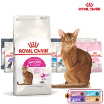 로얄캐닌 캣 세이버 엑시전트 2kg 생후 12개월 이후 입맛 까다로운 반려묘(두가지알갱이 체중유지 요로기건강) 간식2종&보관팩증정, 간식/지퍼백등 증정, 2023.11