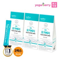 휴럼 요거베리 카스피 요거트 스타터 3박스 2gx30포, 2g, 30개