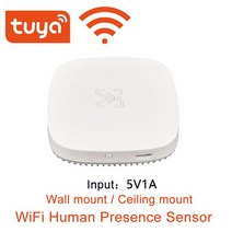 와이파이 MmWave 휴먼 프레센스 모션 센서 휘도/거리 감지 인체 PIR 무선 실시간, Wifi Wall Mount, 한개옵션1