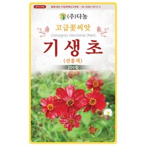 설악초 20립 - 초설초 야광초 야생화 씨앗 꽃씨 씨 꽃씨앗 야생화씨앗 고급꽃씨 고급꽃씨앗, 01_다농_기생초(선홍색)(200립)