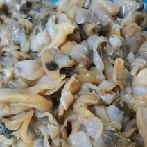 통영 바지락3kg 바지락살 해삼 멍게 매일채취, 1개, 바지락살1kg급냉