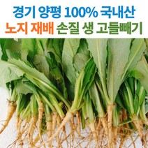 산지직송 양평 생 노지 고들빼기 꼬들배기 2kg 4kg, 1개