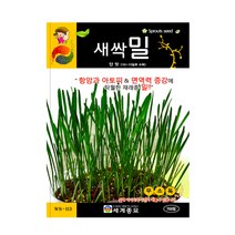 모칸도 세계 새싹씨앗 새싹밀 700립