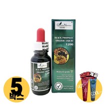 [사은품제공]호주 굿라이프 뉴트리션 프로폴리스 팅쳐 25ml PROPOLIS 플로폴리스 면역력 알지알지몰 RZ, 상품수량, 5개