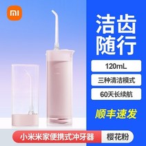 휴대용 구강 세정기 치석 제거 교정, Xiaomi휴대용치과세정기핑크+SF