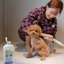 애견샴푸 고양이 강아지 약용샴푸 천연샴푸 린스 푸들 말티즈 비숑, 11.에바올인원샴푸, 올인원샴푸