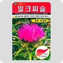 밀크씨슬씨앗 100립 우유엉겅퀴 민속채소 약초 씨앗