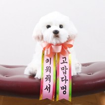 갓샵 인간화환 당일발송ver 강아지형 소형 졸업결혼식