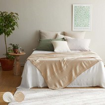 [AK수원점] [소프라움] 머스크 면모달 담요 90X120