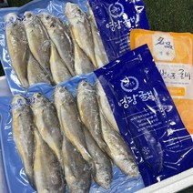 법성포 대용량 진공포장 영광 굴비 조기 선물포장, 영광굴비 3호 20미