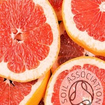 [아로마 오일] 그레이프 프룻 유기농 (Grapefruit Essential Oil) (화장품 비누.아로마발향), 1개, 30ml