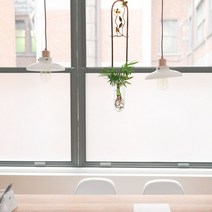 [KT알파쇼핑][바보사랑]벽디퓨저 화병 수경재배 꽃2송이 데일리스윗 향기20종, 후레쉬레몬