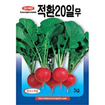 (씨앗) 적환20일 무 - 래디쉬 - 무 씨앗 종자 - 텃밭용 소포장 - 5g