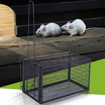 멧돼지 고라니 올무 트랩 퇴치기 야생동물 농작 재사용 가능한 마우스 독 금속 쥐 케이지 쥐 마우스 킬러 설치류 포수 인도적 라이브 해충 방제 홈 정원 용품, 없음