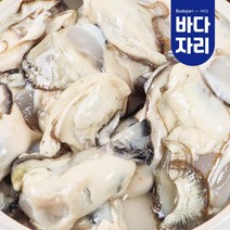 통영 산지직송 당일손질 생굴 300g 800g 2kg 깐굴 석화 통영굴 돌굴 냉동굴, 생굴 깐굴 300g