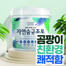 결로방지페인트 자연숨 규조토페인트 18kg 곰팡이방지 벽지 항균 베란다 실내 단열페인트, 09.스킨C(하단 색상표참조), 1개
