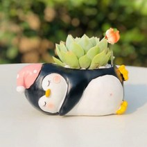 ROOGO 루고 다육이 미니화분 행복한 동물 일기 펭귄 (다육식물 불포함)