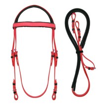 말안장 말고삐 속도 물 안장 액세서리 하네스 비트 승마, 02 RED-FULL