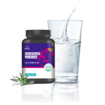 락토페린 모로실 모로오렌지 효능 효과 120정