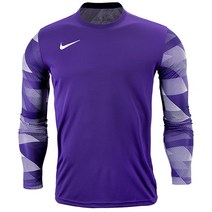 나이키 저지 드라이 파크 IV GK_CJ6066-547